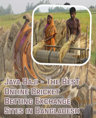 Download apk babu88 in Bangladesh
