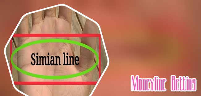 Money line meaning